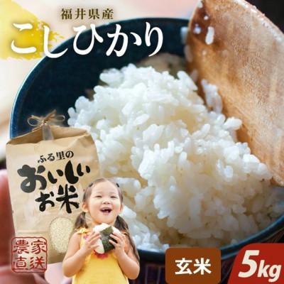 ふるさと納税 坂井市 【先行受付】【令和6年産】福井県産コシヒカリ 5kg×1袋　玄米[A-8902] | 