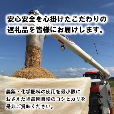 ふるさと納税 坂井市 【先行受付】【令和6年産】福井県産コシヒカリ 5kg×1袋　玄米[A-8902] |  | 01