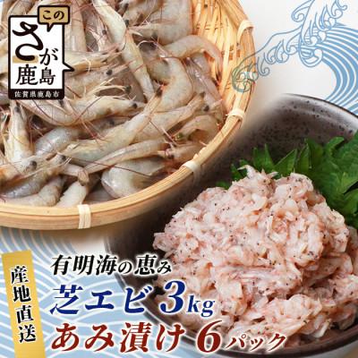 ふるさと納税 鹿島市 [有明海産 アミエビ使用]あみ漬け 6パック &amp; 冷凍芝エビ(真エビ)3kg