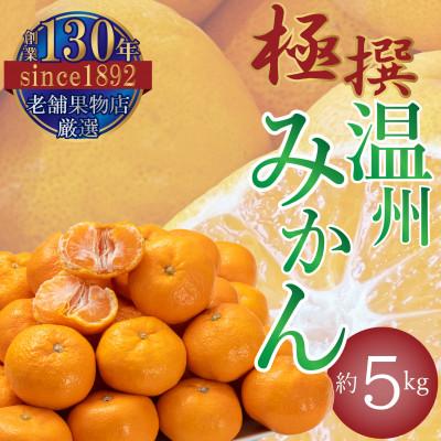 ふるさと納税 三豊市 [2025年11月上旬より順次発送]極撰!仁尾の温州みかん 約5kg