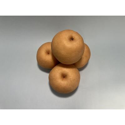 ふるさと納税 加茂市 新興3キロ