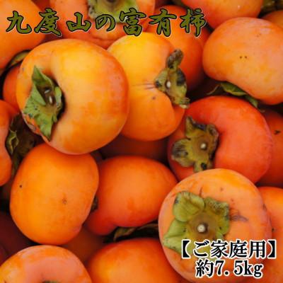 ふるさと納税 九度山町 ≪柿の名産地≫九度山の富有柿約7.5kg(サイズ混合 ご家庭用)[九度山町]