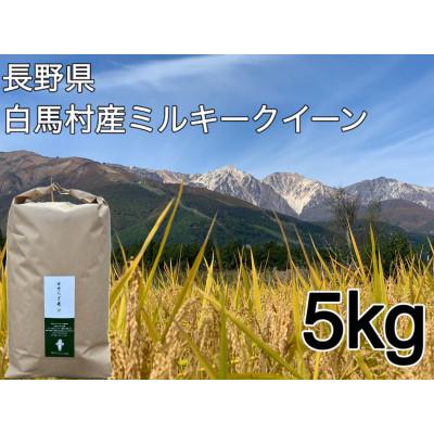 ふるさと納税 白馬村 白馬産ミルキークイーン 白米 5kg