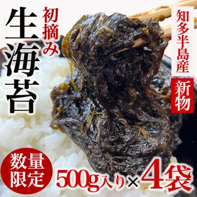 ふるさと納税 南知多町 [数量限定]知多半島から直送 生海苔 (冷凍) (新物) 500g×4袋(2kg) 岬だより