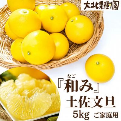 ふるさと納税 安芸市 『和み』大北果樹園の土佐文旦 5kg ご家庭用[訳アリ]