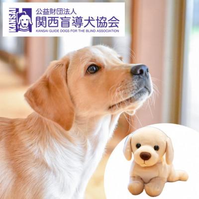 ふるさと納税 亀岡市 盲導犬訓練 支援寄付[盲導犬協会オリジナルグッズ]ぬいぐるみ、タオルなど7点