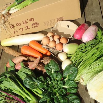 ふるさと納税 美作市 【畑から直送】味覚を育む旬の野菜約8種と自然卵10コ入り |  | 02