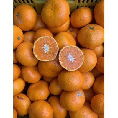 ふるさと納税 湯浅町 [高糖系]越冬本貯蔵 丹生系(にゅうけい)みかん 家庭用訳あり混合サイズ 約10kg