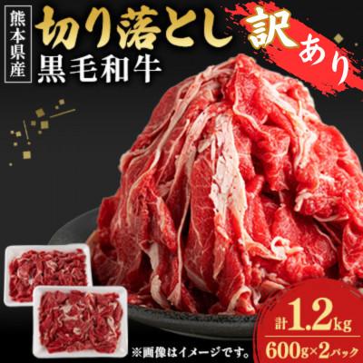 ふるさと納税 菊池市 [熊本県産]<訳あり>黒毛和牛切り落とし1.2kg(600g×2パック)