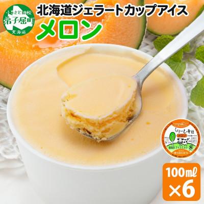ふるさと納税 弟子屈町 くりーむ童話のカップアイスクリーム メロン 100ml×6個 手作り 北海道 弟子屈町 2327