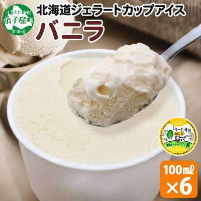 ふるさと納税 弟子屈町 くりーむ童話のカップアイスクリーム バニラ 100ml×6個 手作り 北海道 弟子屈町 2329