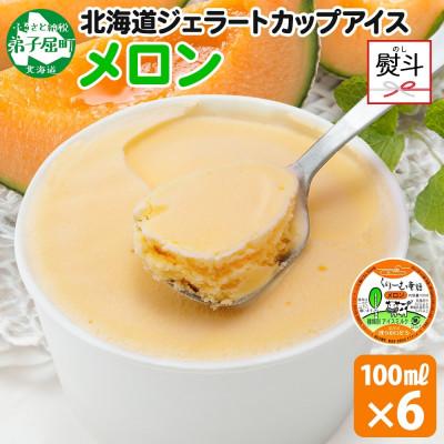 ふるさと納税 弟子屈町 [のし付] くりーむ童話のカップアイスクリーム メロン 100ml×6個 北海道 弟子屈町 2327