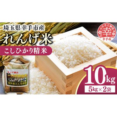 ふるさと納税 幸手市 レンゲ米 こしひかり 精米 5kg×2袋