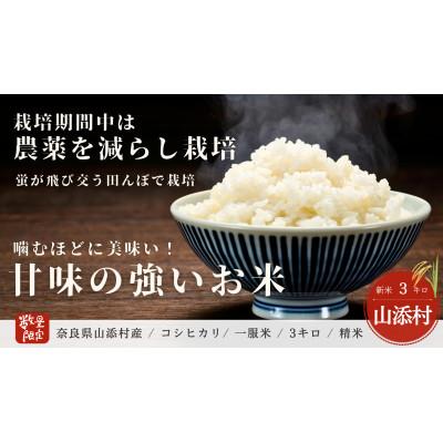 ふるさと納税 山添村 山添村産 一服米 コシヒカリ 3kg 精米