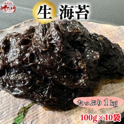 ふるさと納税 南知多町 [数量限定] 生海苔 (冷凍) 100g×10袋(1kg) 岬だより