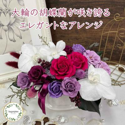 ふるさと納税 春日部市 プリザーブドフラワーアレンジ[ルクール/ディープルビー]春日部市 シュガーパイン