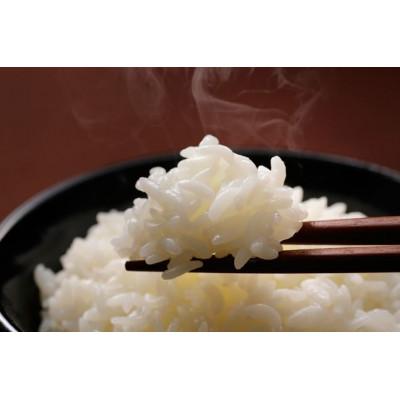 ふるさと納税 館山市 自然農法米 自然のまんま(千葉県産館山産コシヒカリ) 精米5kg