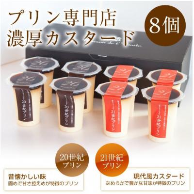 ふるさと納税 鯖江市 2種のカスタ-ドプリン 20世紀・21世紀プリン 8個セット