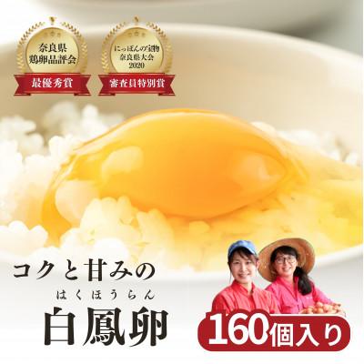 ふるさと納税 五條市 白鳳卵:160個入