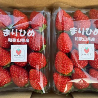 ふるさと納税 海南市 【2027年3月より順次発送】和歌山県産ブランドいちご「まりひめ」300g×2パック入り |  | 02