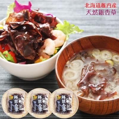 ふるさと納税 稚内市 [希少 な 海藻 ]稚内産 天然 銀杏草 100g ×3袋 北海道 国産
