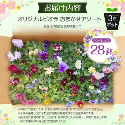 ふるさと納税 豊川市 オリジナルビオラおまかせアソート〈ベーシック 28鉢〉 |  | 03