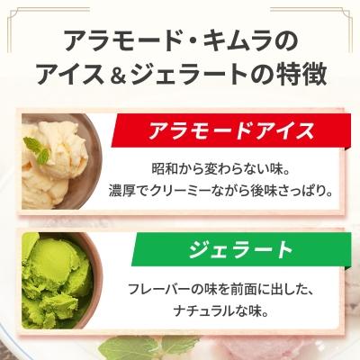 ふるさと納税 五泉市 【定番】アイス&ジェラート 12個セット |  | 03