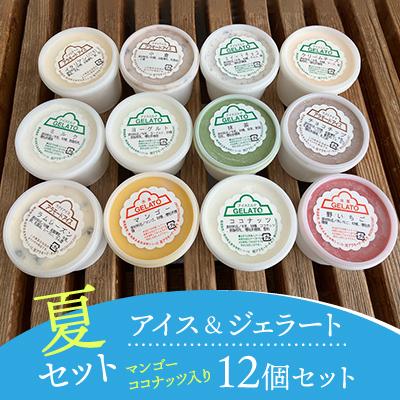 ふるさと納税 五泉市 [夏セット]アイス&amp;ジェラート 12個セット