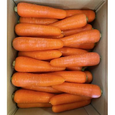 ふるさと納税 藍住町 [藍住町産]農家直送 柔らかくてあまーい『春にんじん』10kg