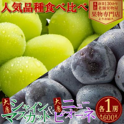 ふるさと納税 観音寺市 [2026年8月中旬より順次発送]大房シャインマスカット&amp;大房ニューピオーネ 各1房(各約600g)