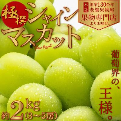 ふるさと納税 観音寺市 [2026年8月中旬より順次発送]極撰!シャインマスカット 約2kg(3〜5房)