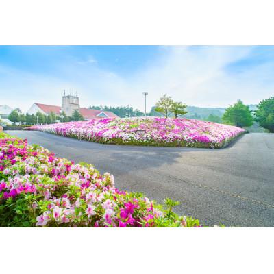ふるさと納税 加東市 サンロイヤルGC平日1名様プレー券(2枚セット) | 