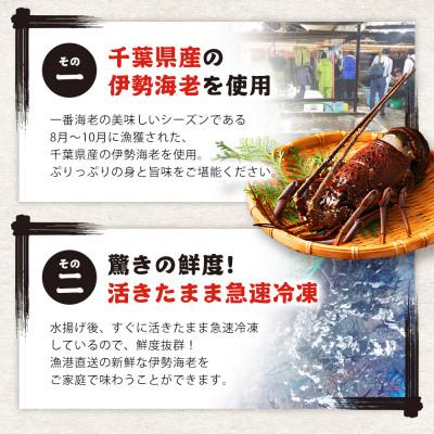 ふるさと納税 勝浦市 【お刺身OK】千葉県勝浦産 生冷活〆いせえび  大サイズ 600gUP |  | 01