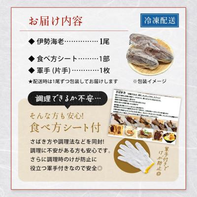 ふるさと納税 勝浦市 【お刺身OK】千葉県勝浦産 生冷活〆いせえび  大サイズ 600gUP |  | 02
