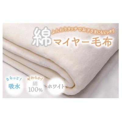 ふるさと納税 泉大津市 やわらかコットン100% 吸水性抜群 綿マイヤー毛布(毛羽部分) シングルサイズ　OZ-101 | 
