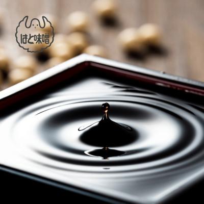 ふるさと納税 西尾市 【毎日の健康に】無添加 参年熟成の豆味噌(500g)・たまり醤油セット・H056の画像