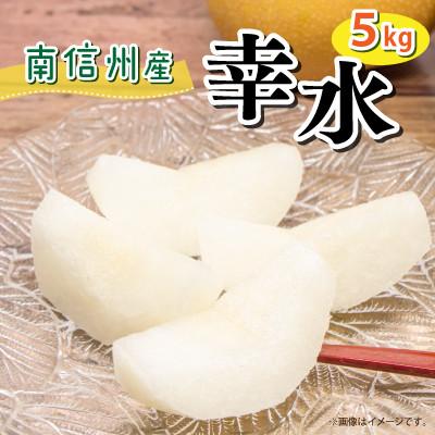 ふるさと納税 豊丘村 [豊丘村]8月中旬より順次発送! 南信州で育った幸水 約5kg(箱入)