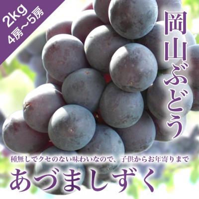 ふるさと納税 勝央町 訳あり 岡山ぶどう[あづましずく] 2kg(4〜5房) 種なし 栽培期間中化学肥料不使用