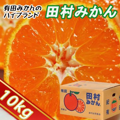 ふるさと納税 広川町 [2026年1月より順次発送]有田の高級ブランド「田村みかん」秀品約10kg S〜Lサイズ