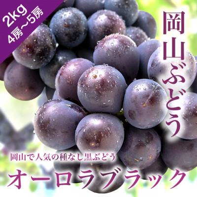 ふるさと納税 勝央町 訳あり 岡山ぶどう[オーロラブラック] 2kg(4〜5房) 種なし 栽培期間中化学肥料不使用