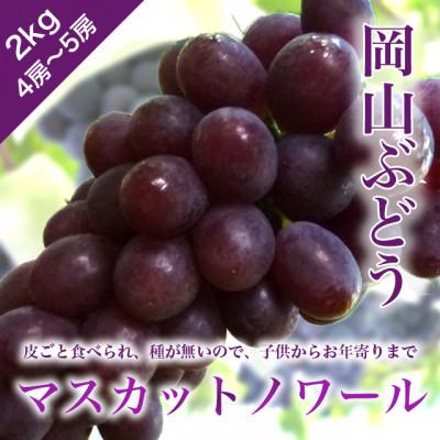 ふるさと納税 勝央町 訳あり 岡山ぶどう[マスカットノワール] 2kg(4〜5房) 種なし皮ごと 栽培期間中化学肥料不使用