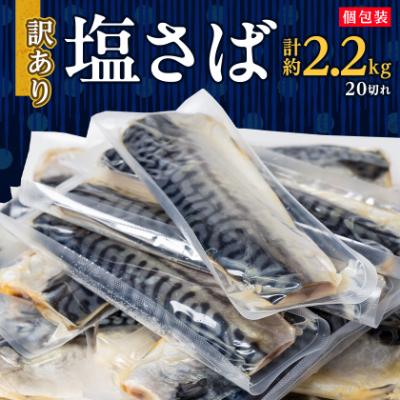 ふるさと納税 館山市 【訳あり】塩さば 20切れ 約2.2kg(個包装) | 