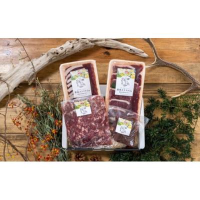 ふるさと納税 館山市 館山ジビエ 満足セット 猪肉 計1kg(4種) |  | 01