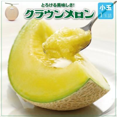 ふるさと納税 掛川市 【一年中食べられる!】クラウンメロン (小玉) 1玉