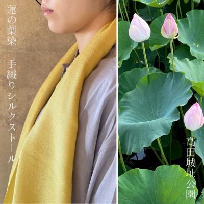 ふるさと納税 上越市 高田城址公園 蓮の葉染 シルクストール1枚