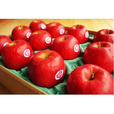 ふるさと納税 一関市 [世界で愛されるりんご]ピンクレディー 約3kg