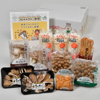 ふるさと納税 中野市 JA中野市産地直送!6種11パック入りきのこセット【中野市特産きのこセットできのこ食を習慣に】 |  | 03