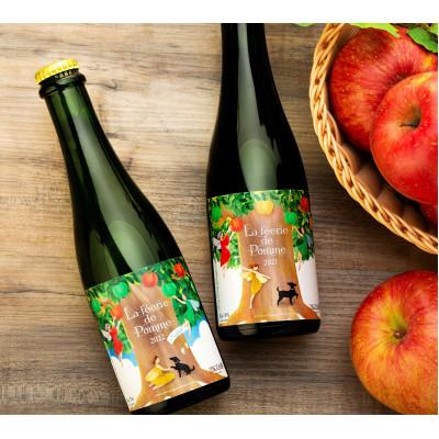 ふるさと納税 箕輪町 きめ細かい泡立ち 爽快で深み感じる本格辛口シードル 2021年冬・22年夏りんごブレンド ハーフ2本