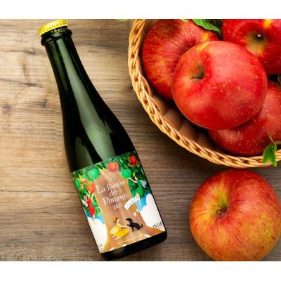 ふるさと納税 箕輪町 きめ細かい泡立ち 爽快で深み感じる本格辛口シードル 2022年産夏りんごブレンド ハーフボトル 1本