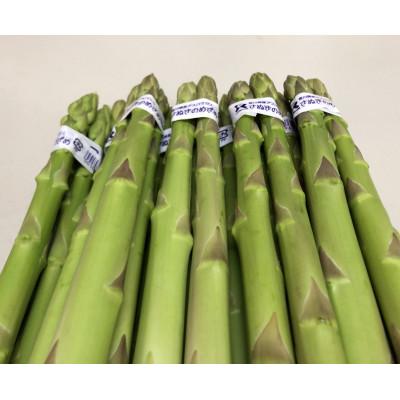 ふるさと納税 坂出市 アスパラガス「さぬきのめざめ」約1.2kg